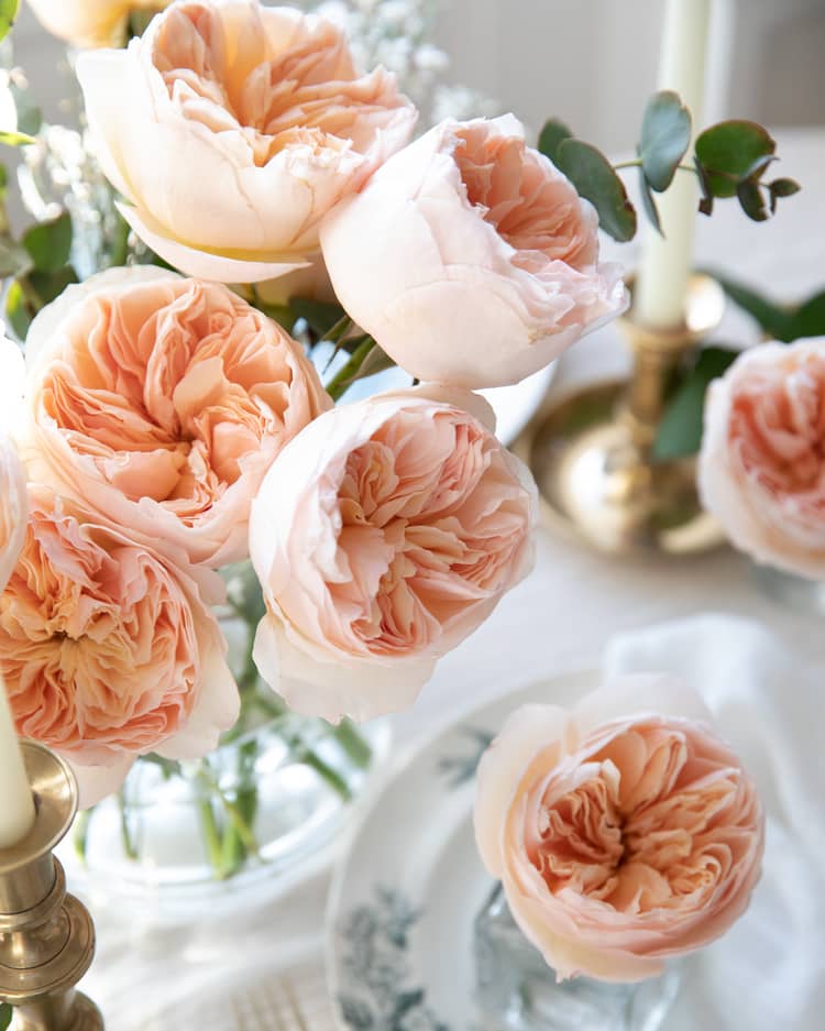 Juliet Peach Roses for Valentines Day