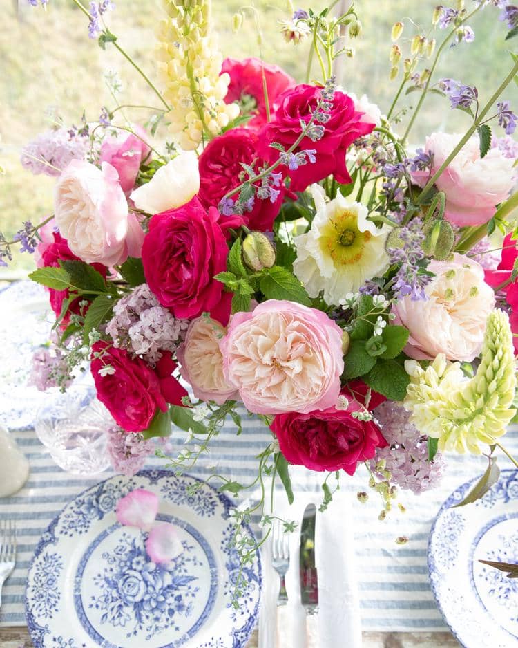 David Austin Roses for small weddings