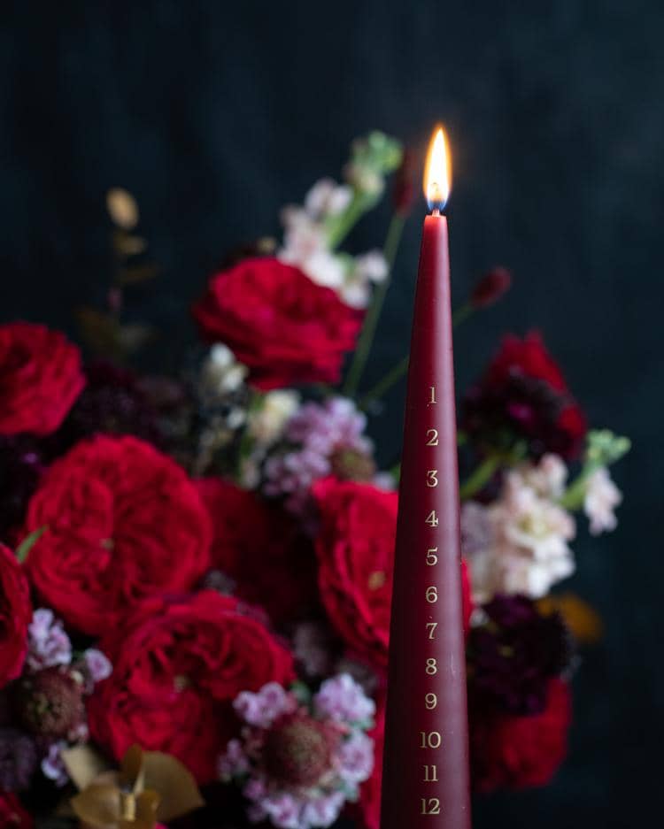 Tess Bougie de l'Avent David Austin Roses gros plan