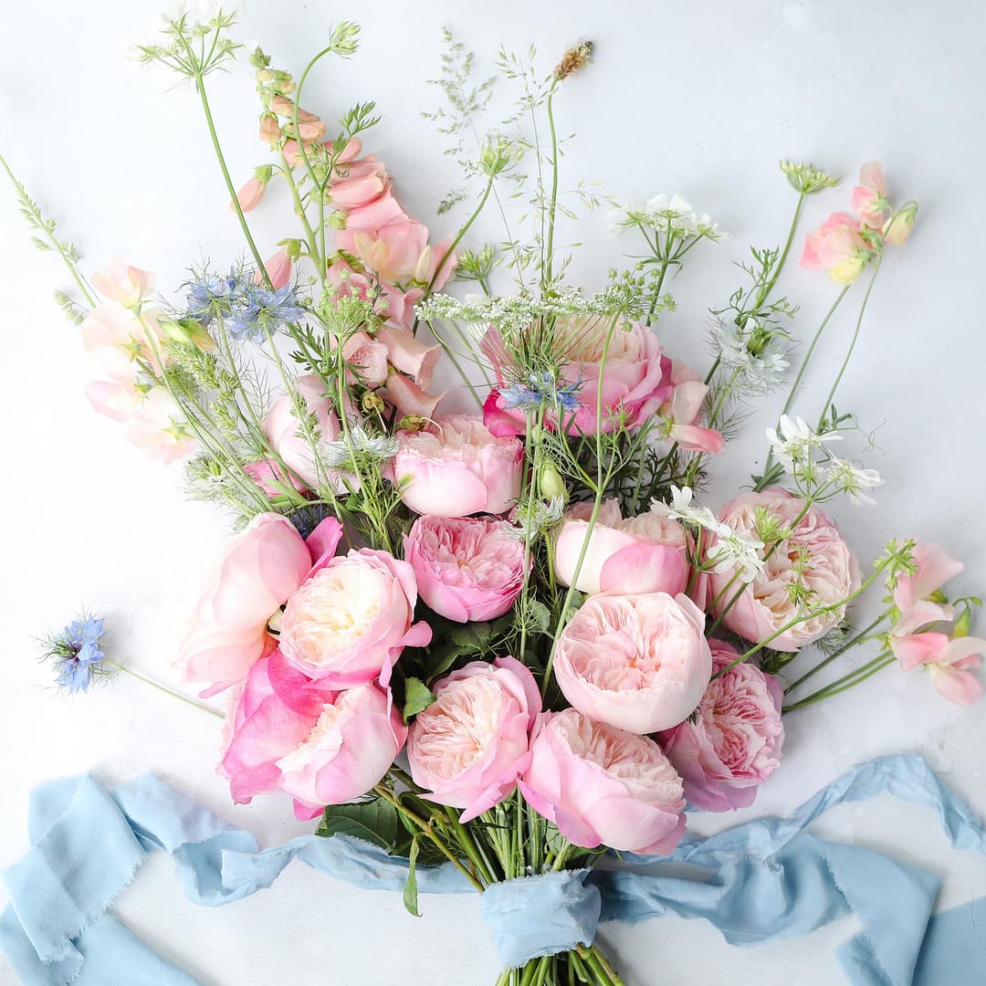 Rosa Constance Ramo de Rosas en un Ramo de Regalo Atado a Mano