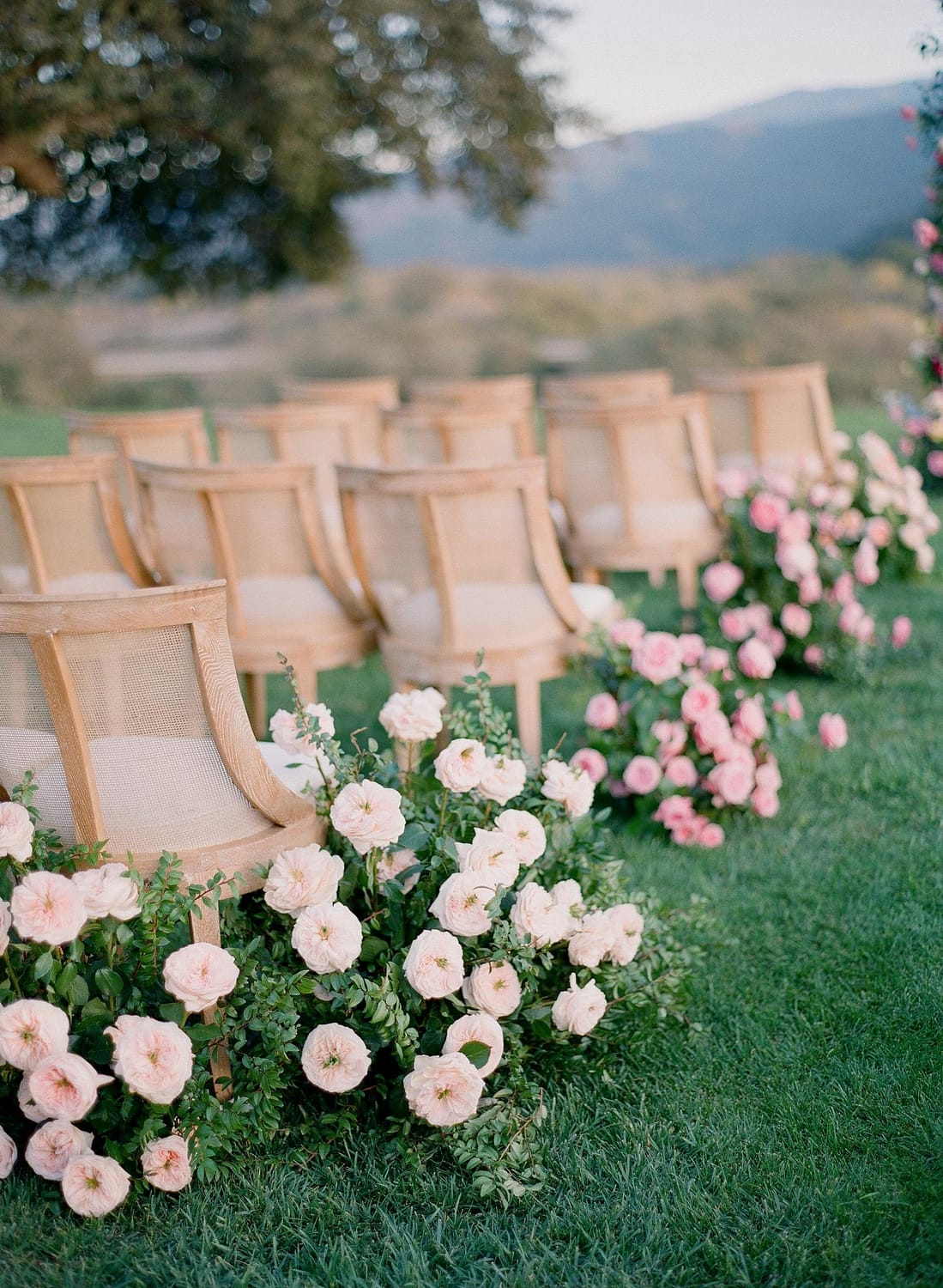 ممر الزفاف من الورود