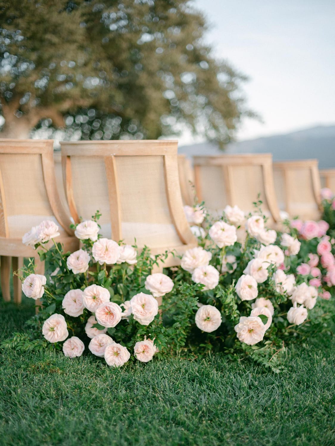 Rose Wedding Aisle