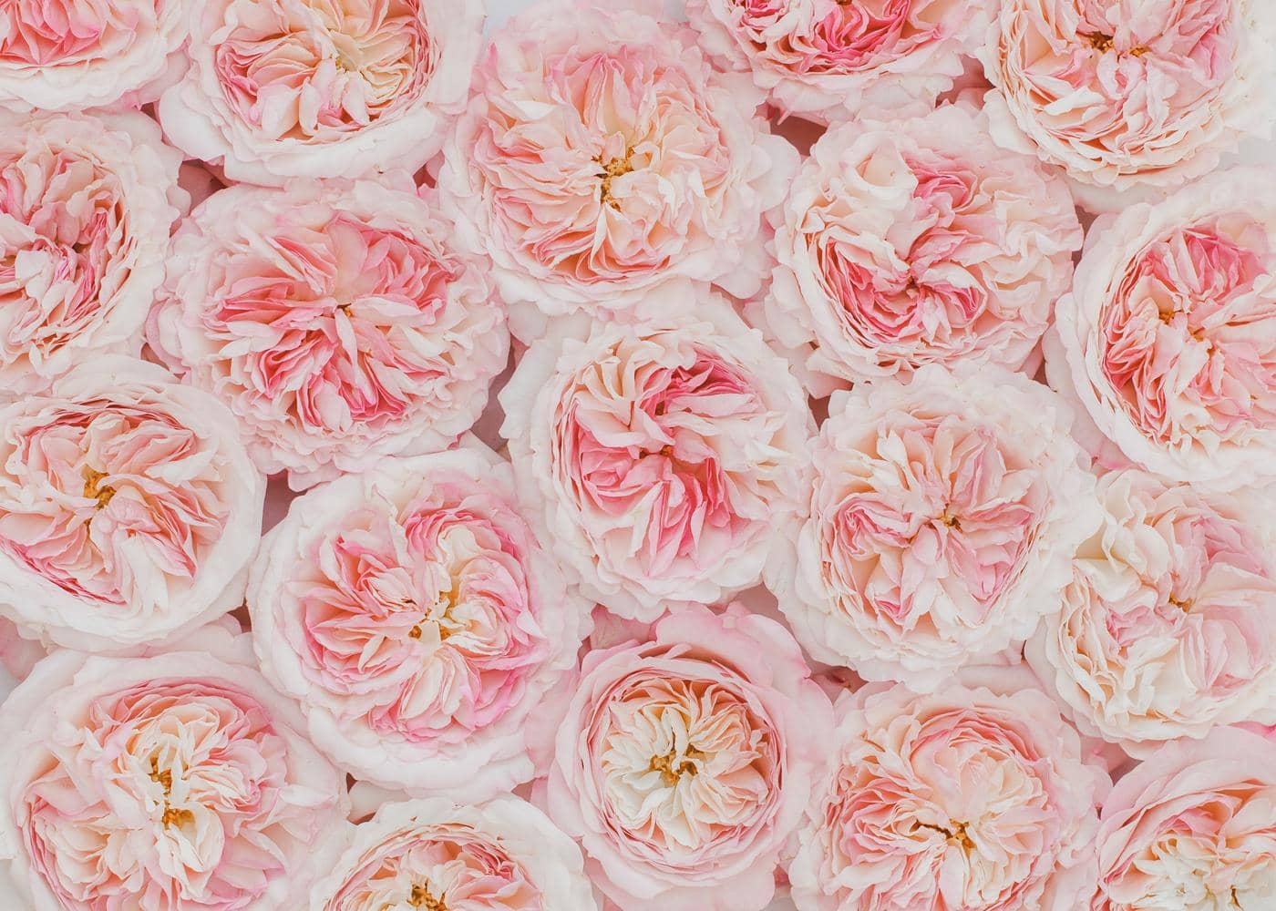 Rosa-Hochzeitsblumen