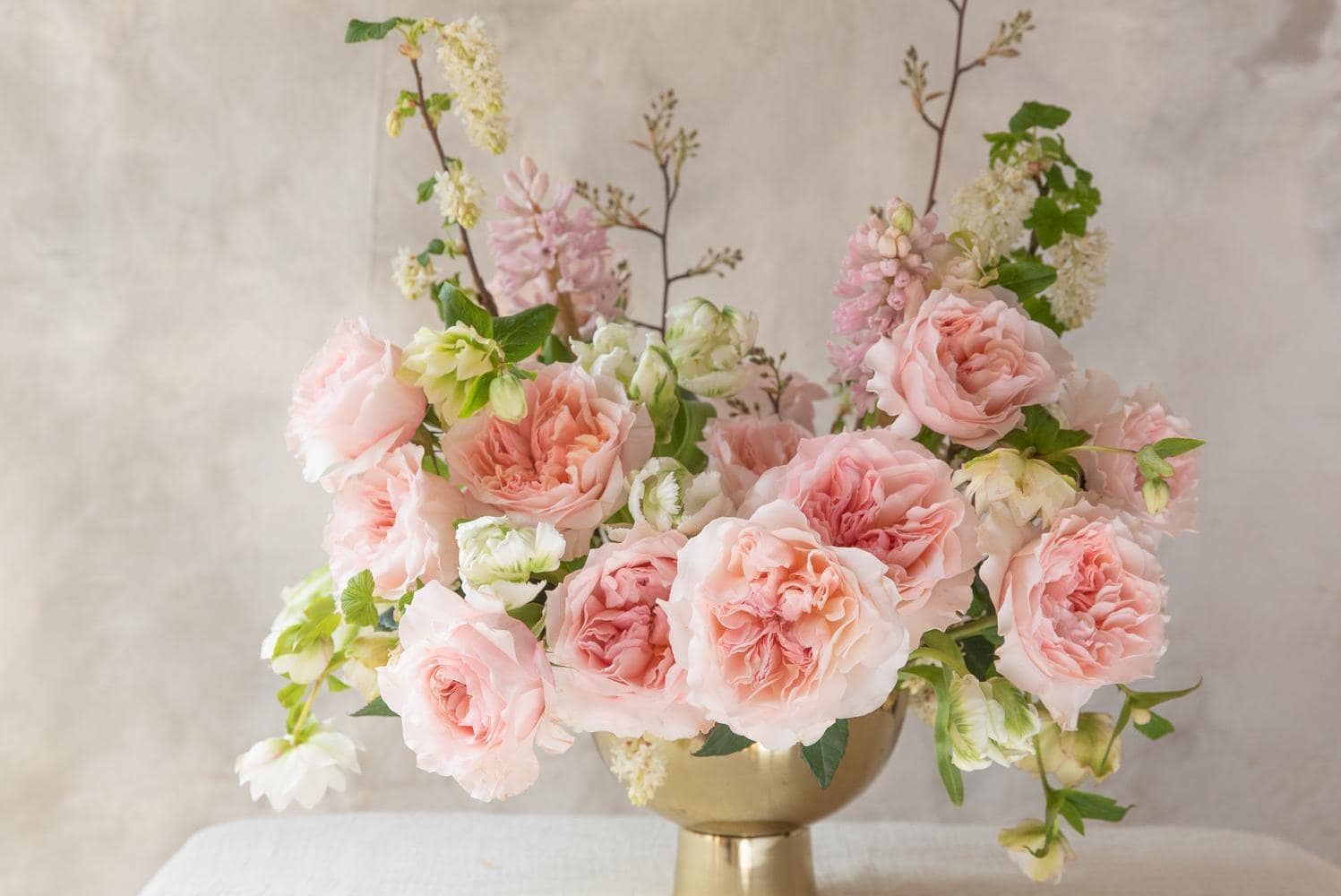 ariadne-david-austin-cut-roses-20260321-007