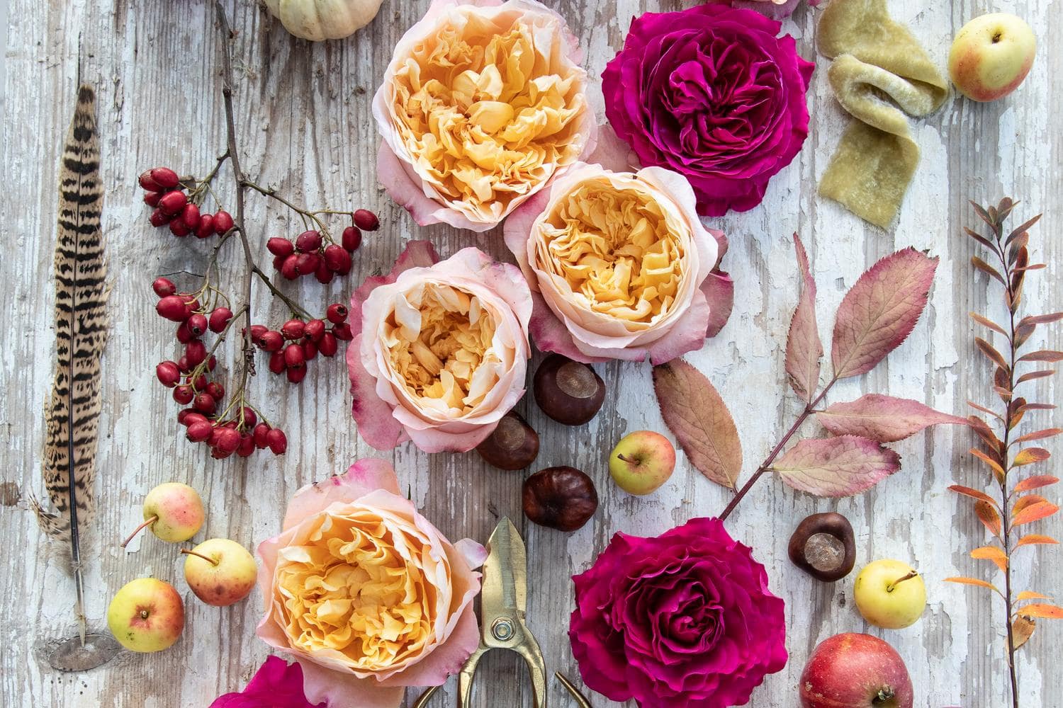 Edith und Capability Rosen-Flatlay