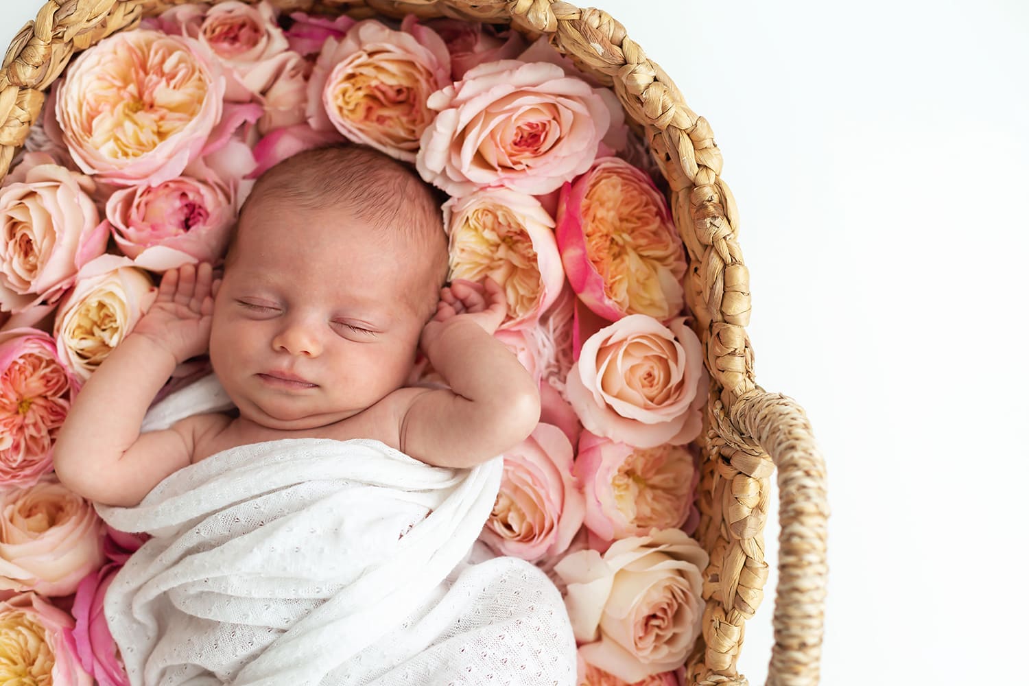 Séance photo bébé avec David Austin Roses