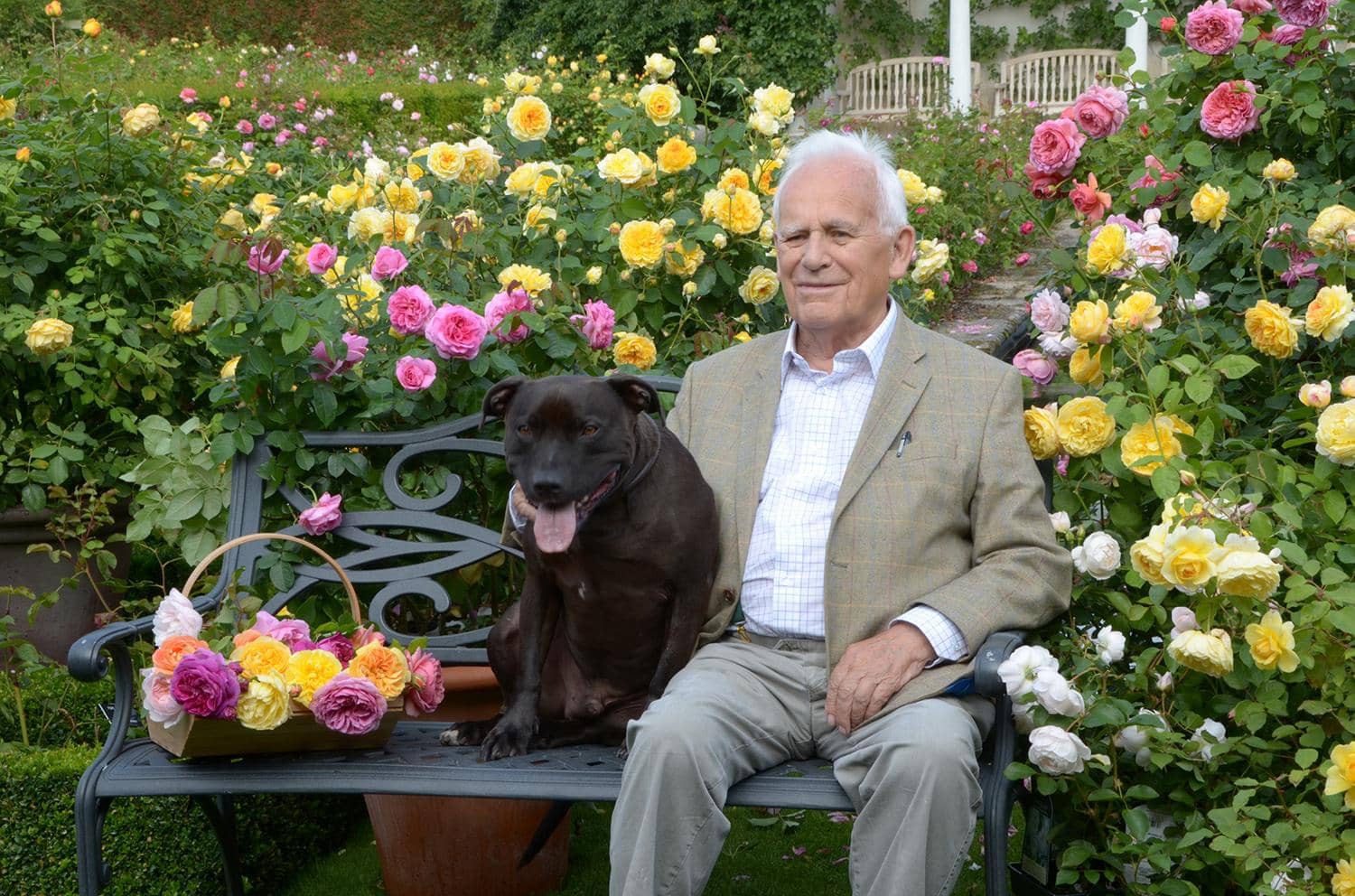 David Austin Senior con il suo cane Bertie