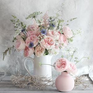 Keira الورود الوردية ترتيب ديفيد أوستن مزهرية
