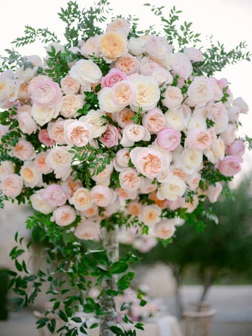اشجار الورد لحفلات الزفاف