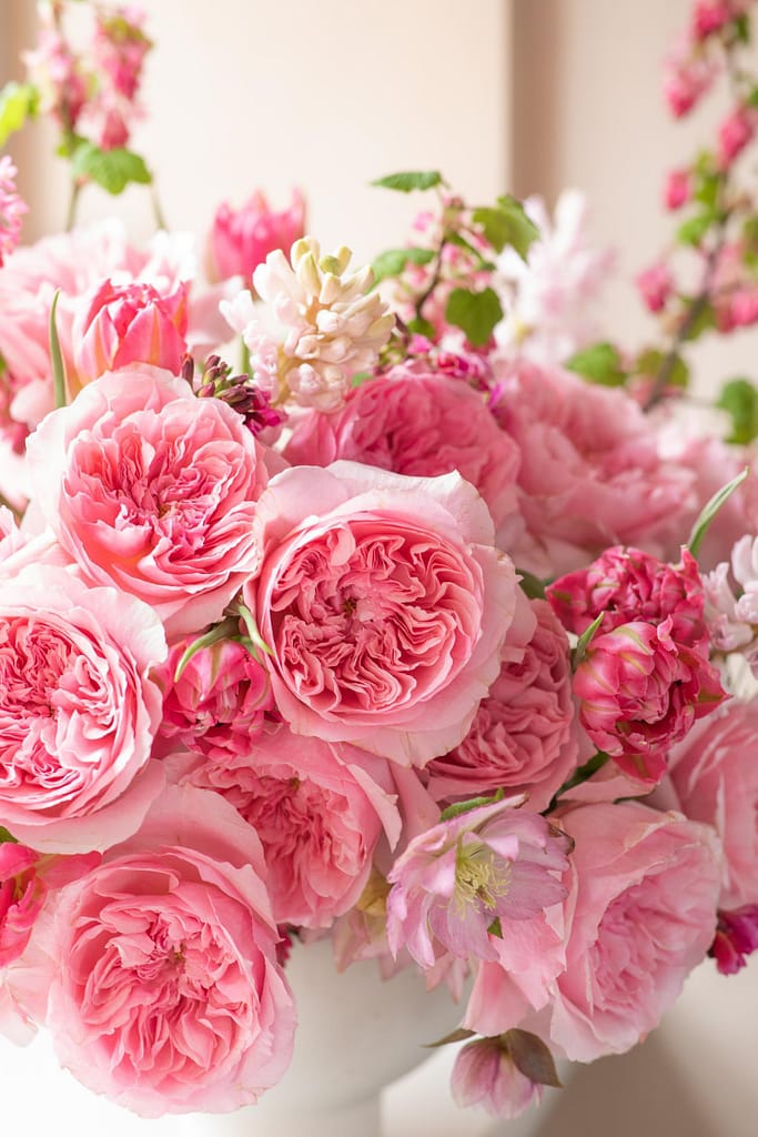 two-new-david-austin-wedding-roses-for-2026