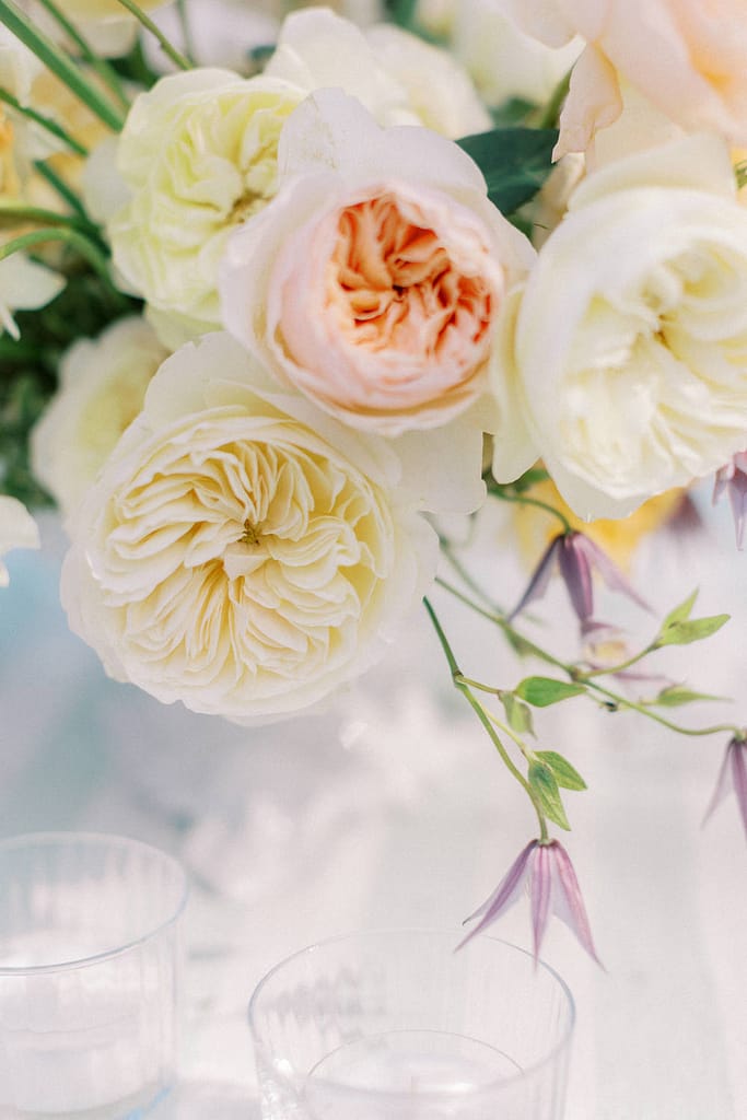 david-austin-wedding-roses