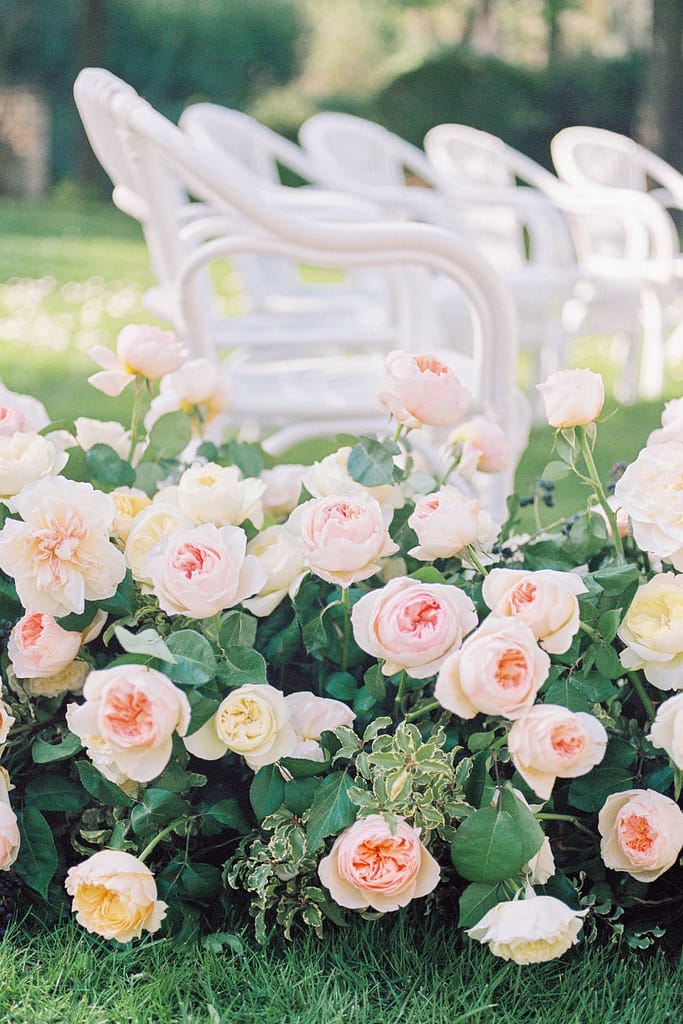 david-austin-wedding-roses
