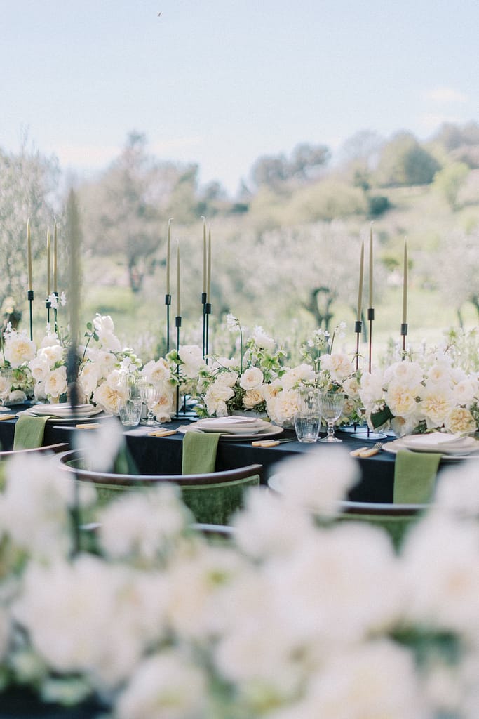 david-austin-wedding-roses
