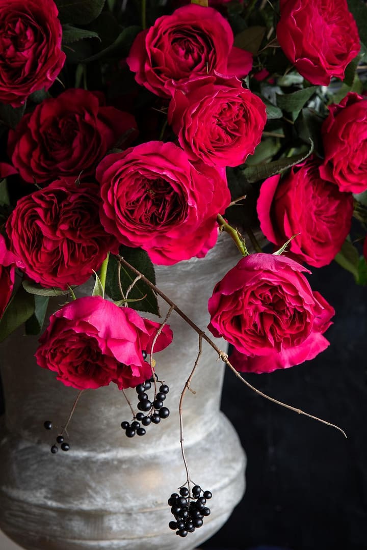 red-wedding-roses