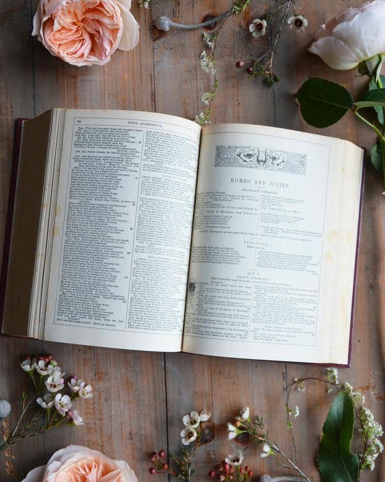 Juliet Rose and William Shakespeare Book Romeo and Juliet