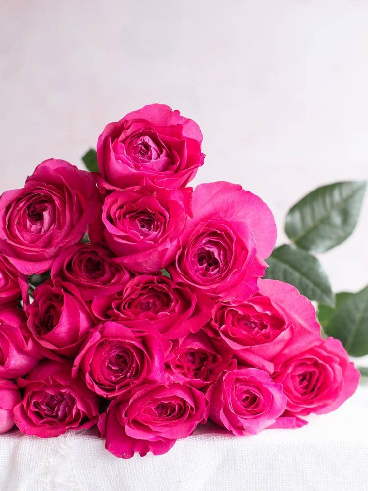 Bouquet di rose rosa
