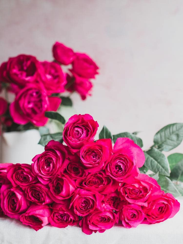 Debut Picture Roses The Ultimate Guide to Pink Wedding Roses - David Austin Wedding and ...