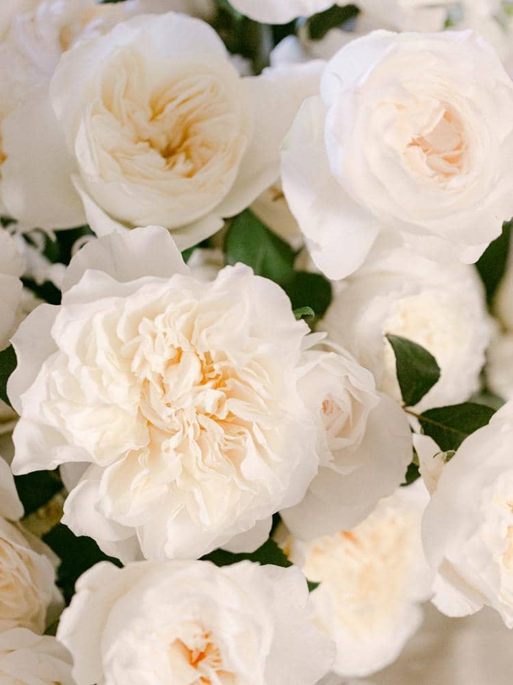 How to choose your wedding colour palette white roses