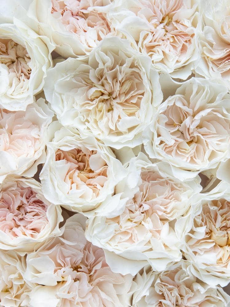 our-favourite-wedding-rose-bouquets-for-2026
