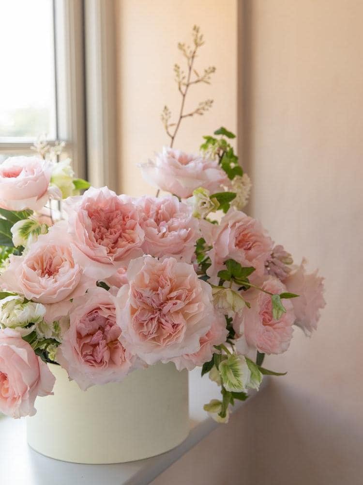 two-new-david-austin-wedding-roses-for-2026