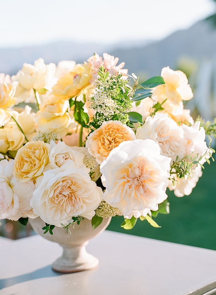 Difference Between David Austin Wedding Roses and Garden Shrubs