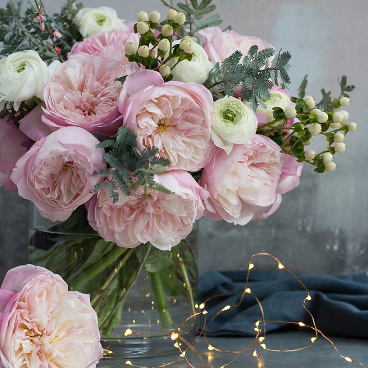 Constance roses grandes fleurs vase arrangement guirlandes lumineuses