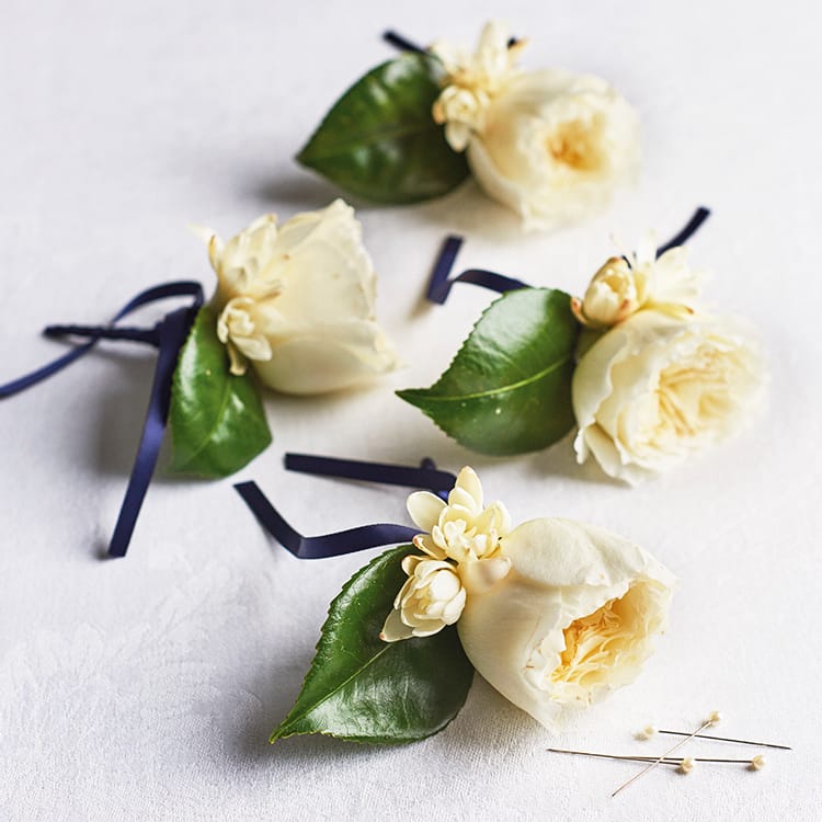 Patience cream roses buttonholes