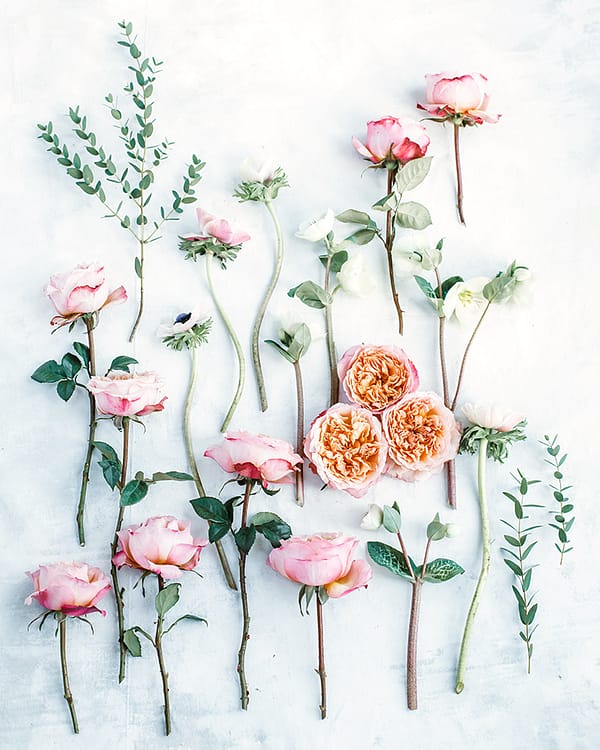 Edith Stems Yellow Wedding Rose