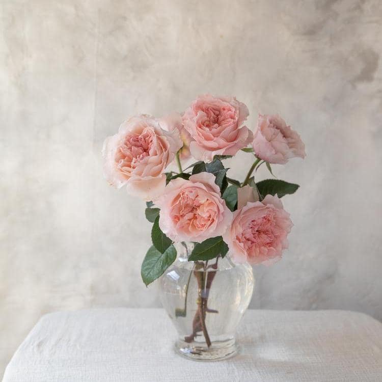 Ariadne Rose Vase Arrangement