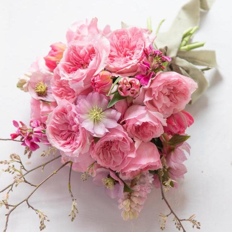 ottilie-david-austin-cut-roses-20260320-024