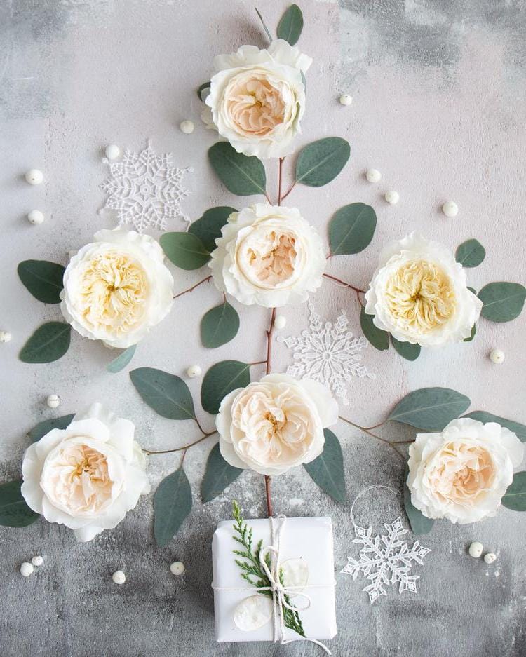 White Christmas Tress Flatlay Design mit weißen Rosen
