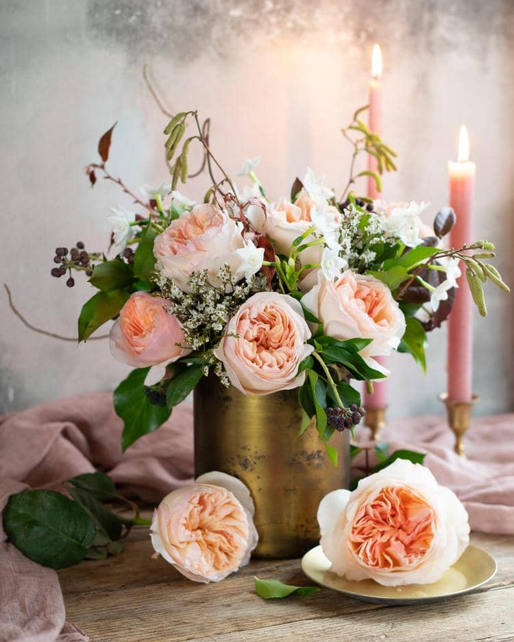 Juliet Peach Roses for Valentines Day Gifting