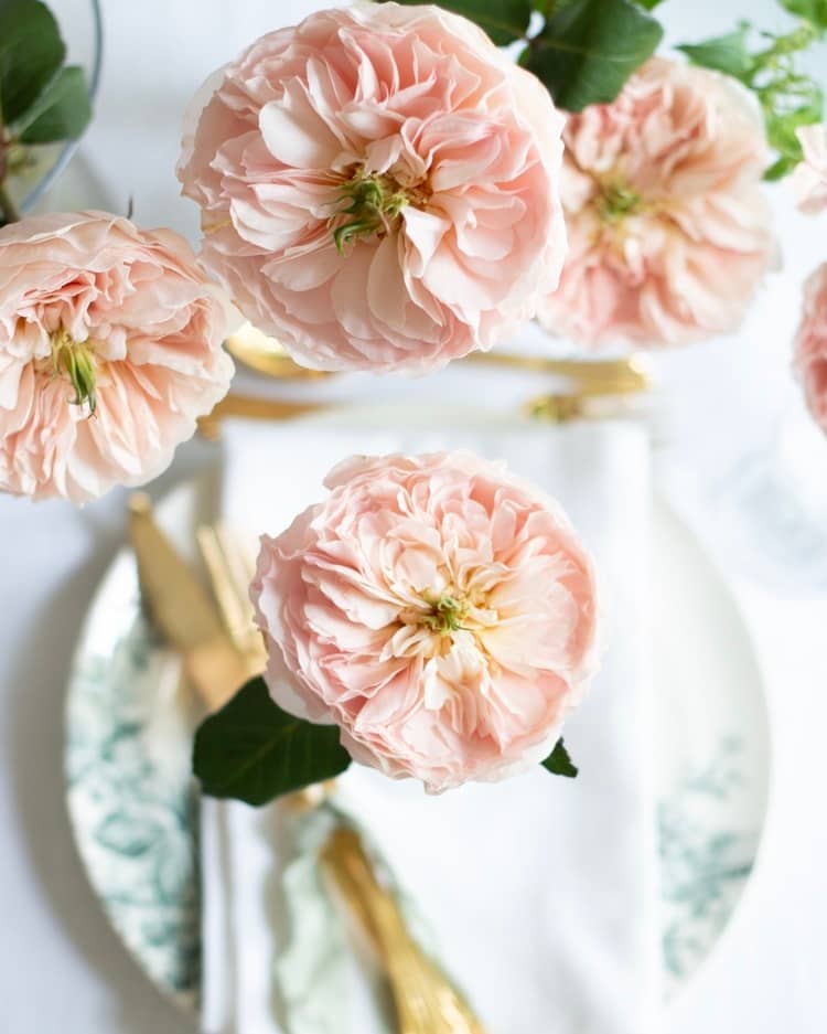 Charity Blush Roses para bodas de lujo en interiores