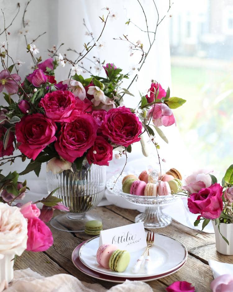 Pink Capability Roses for Mother's Day Afternoon Tea Gifting