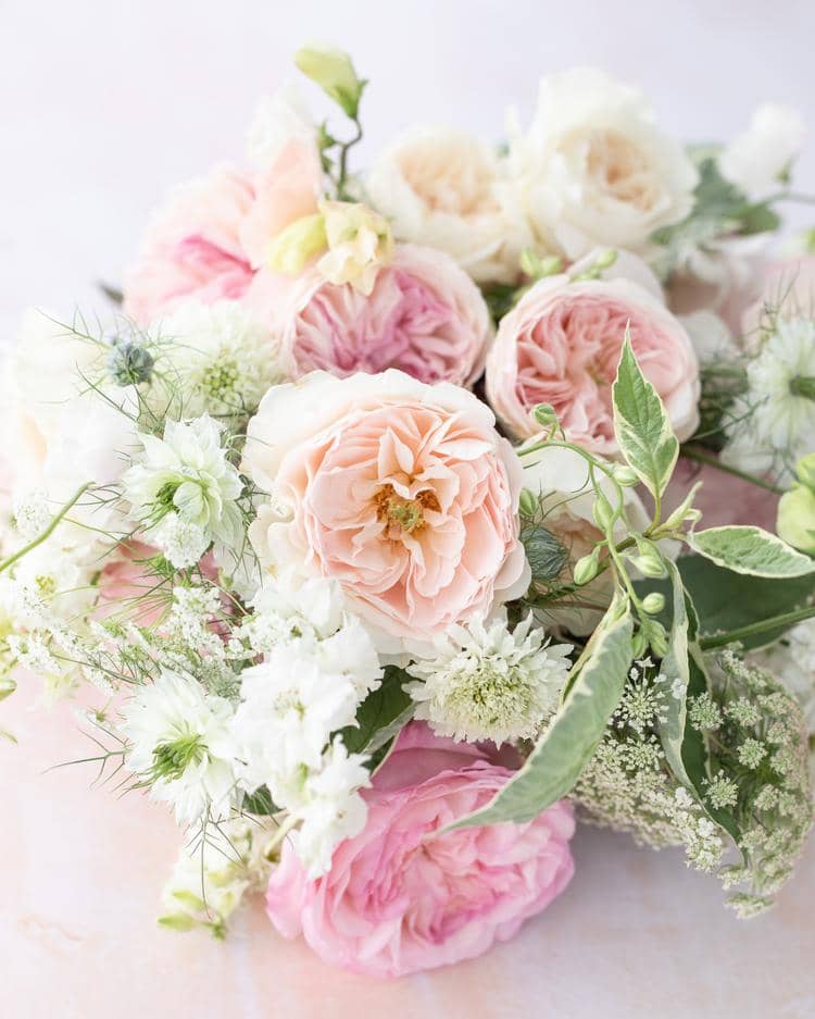 Blush Wedding Roses
