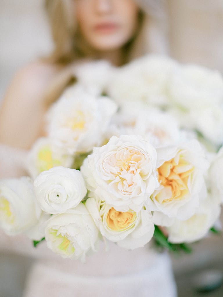 A Floral Introduction - Eugenie - David Austin Wedding And Event Roses