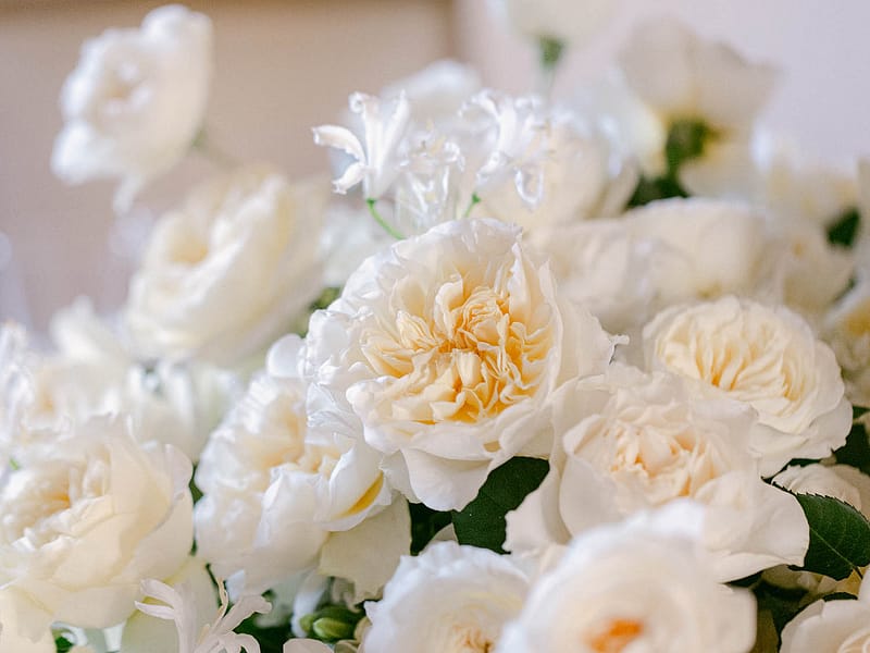 白い結婚式のバラ