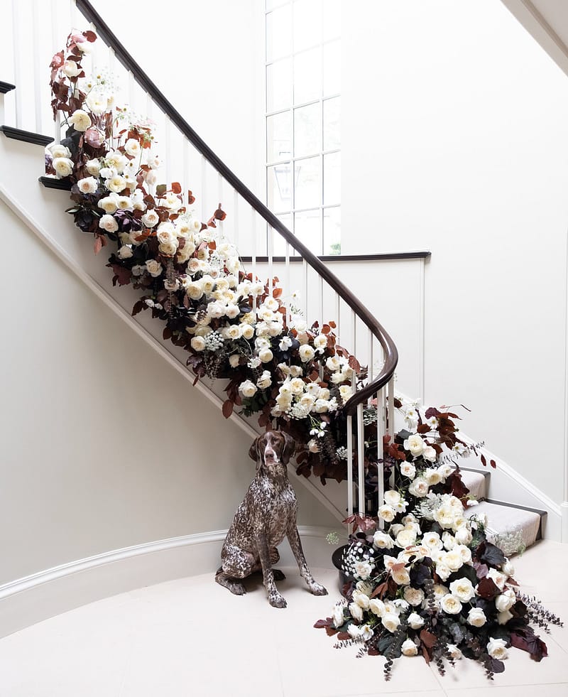 Diseño floral de la escalera de las rosas de David Austin