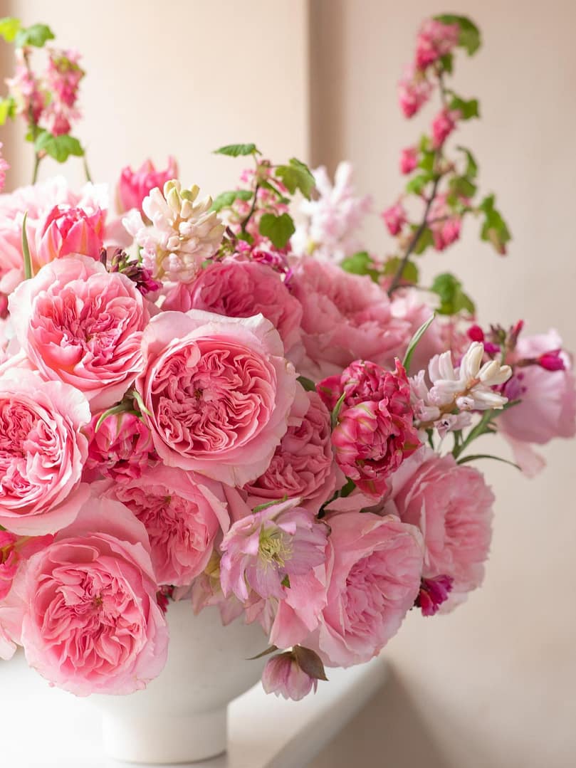 two-new-david-austin-wedding-roses-for-2026
