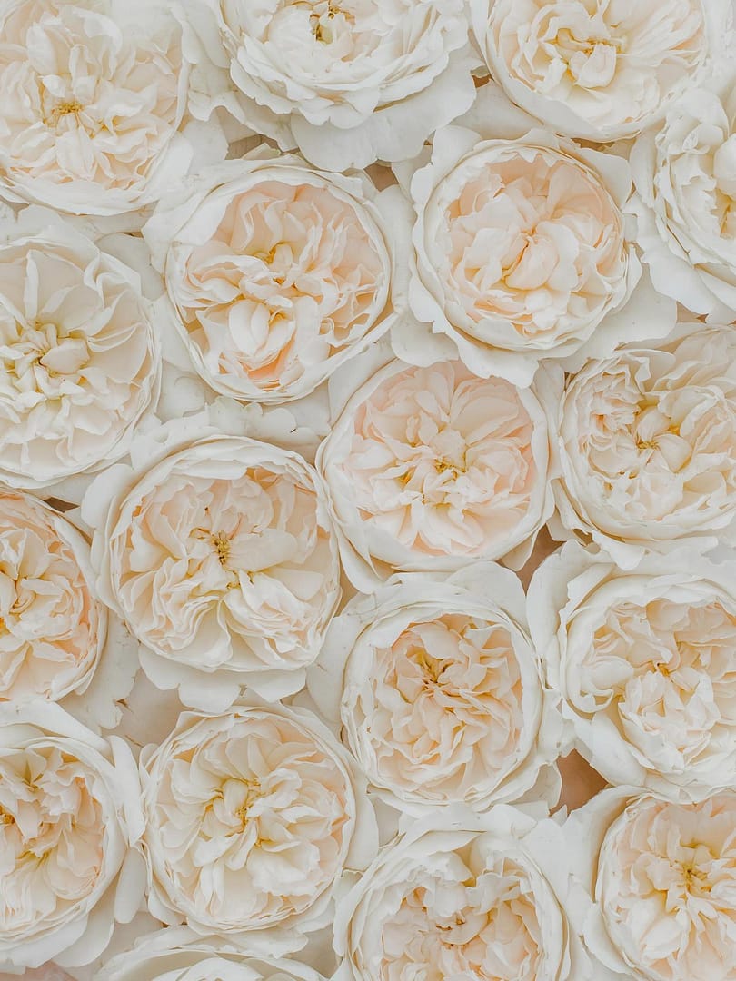 Blush Wedding Flowers