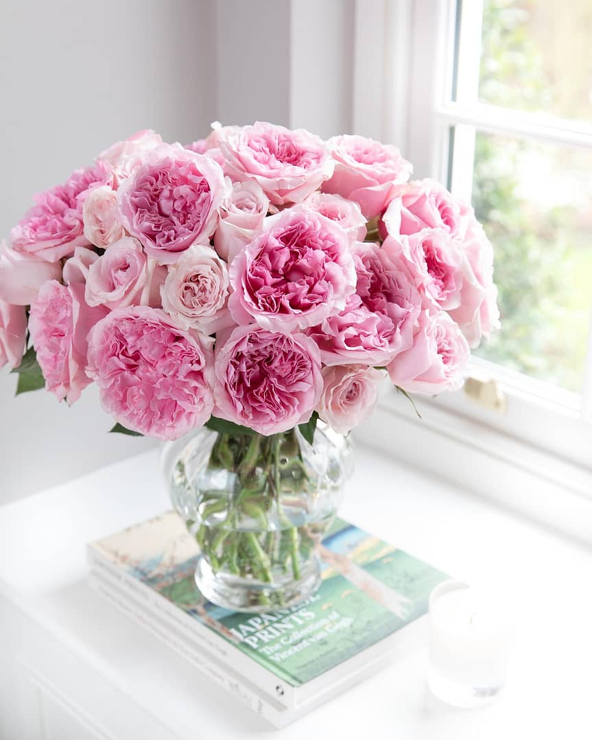 Miranda Arrangement de roses roses dans un vase en verre sur le rebord de la fenêtre