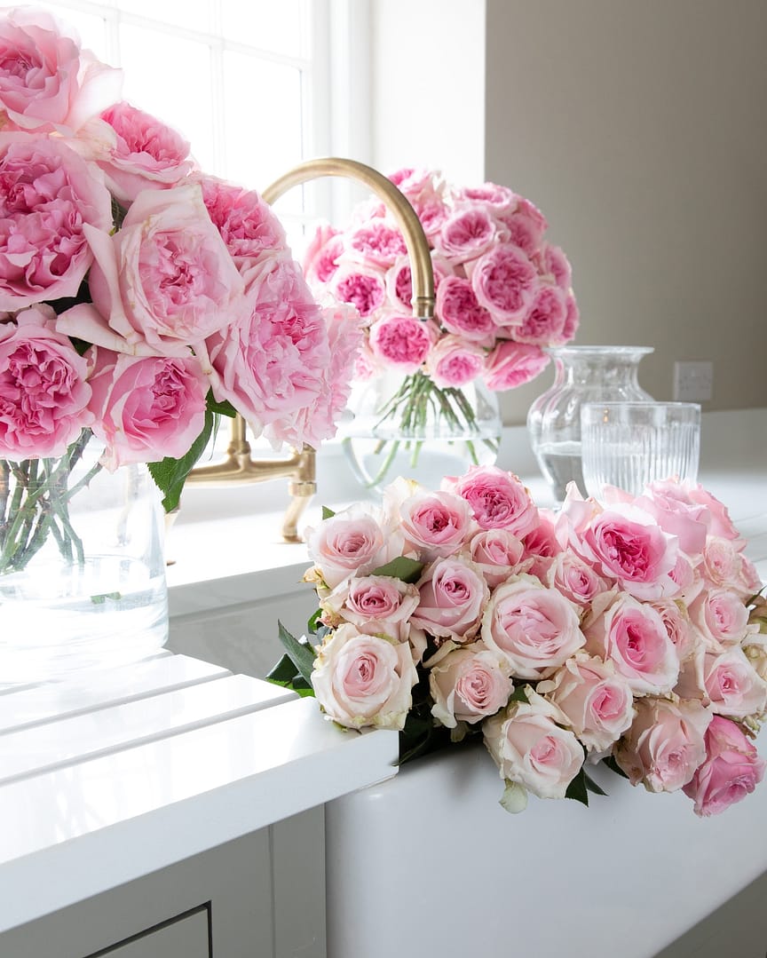 Miranda Pink Roses for Home Arrangements