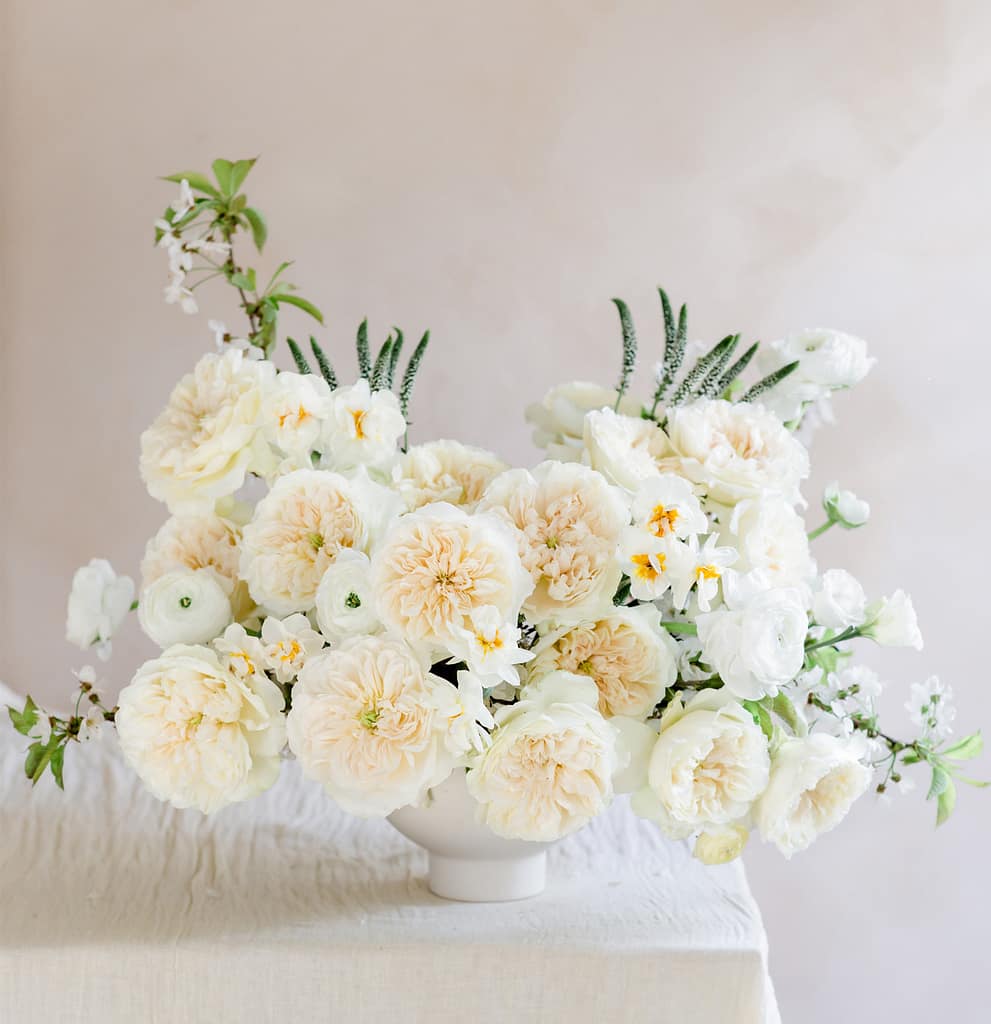 Enid - David Austin Wedding and Event Roses