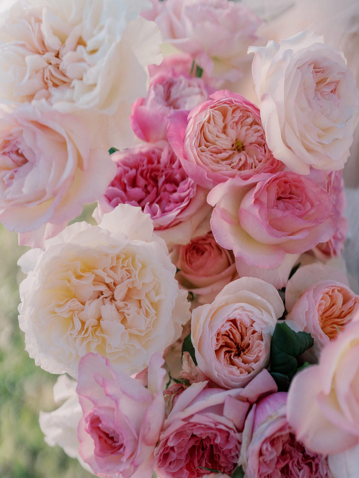 Bouquet Bonbon - Roses aux tons magenta fuchsia