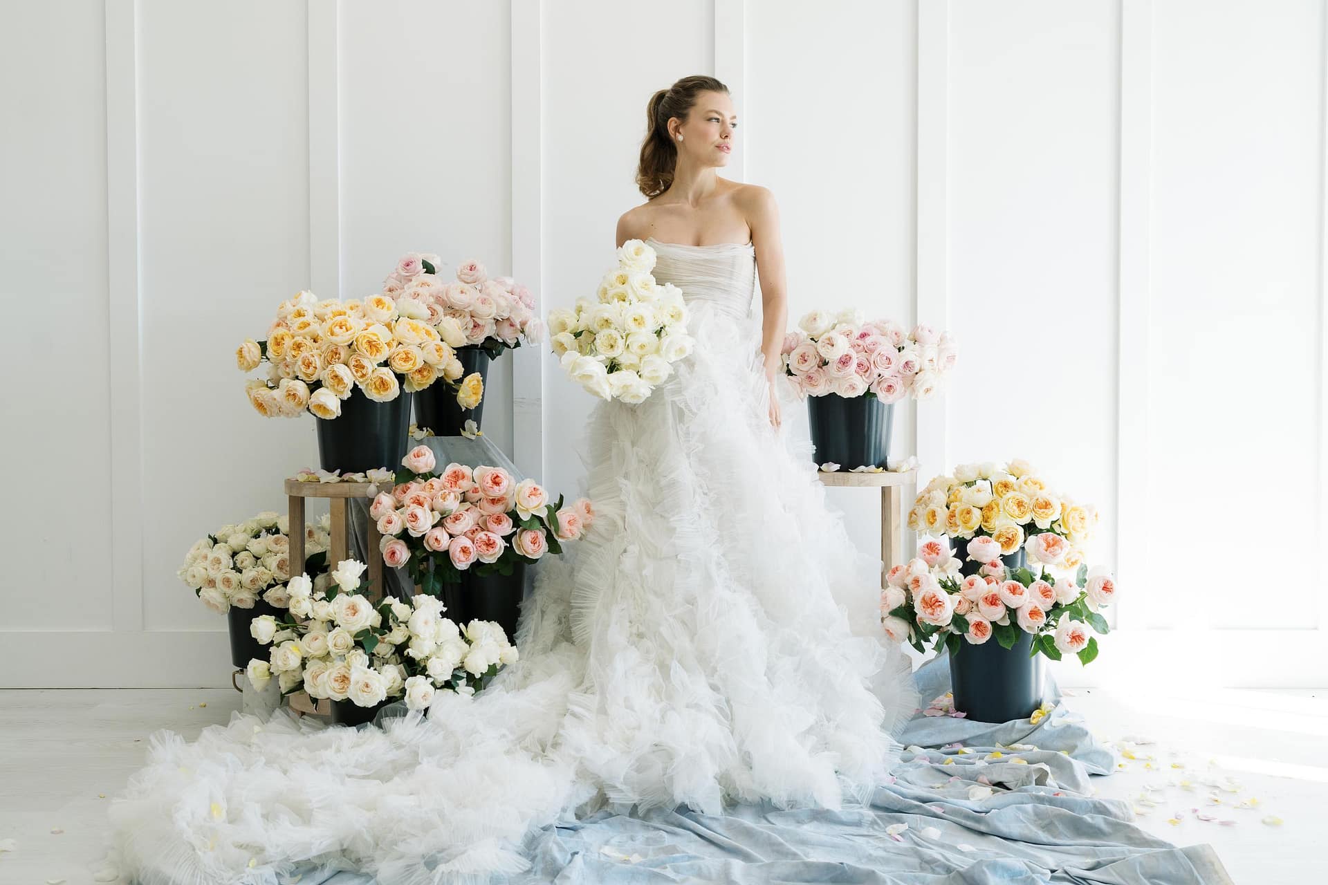 Une introduction aux roses de mariage de David Austin